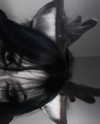 kill.ingkels Altpins Profile Picture