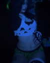 kill.ingkels Altpins Profile Picture