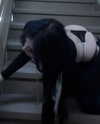 kill.ingkels Altpins Profile Picture