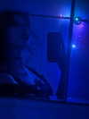 kill.ingkels Altpins Profile Picture
