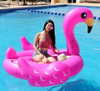 kimberly.loaiza Altpins Profile Picture
