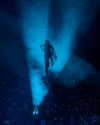 kimberly.loaiza Altpins Profile Picture