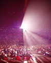 kimberly.loaiza Altpins Profile Picture