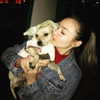 kirstentoosweet Altpins Profile Picture