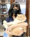 kitsunee.___ Altpins Profile Picture