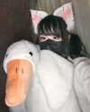 kitsunee.___ Altpins Profile Picture