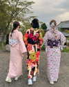 kitsunee.___ Altpins Profile Picture