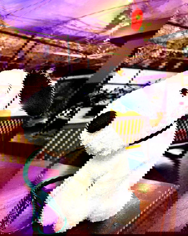 kitsunee2nd kitsunee2nd archive image