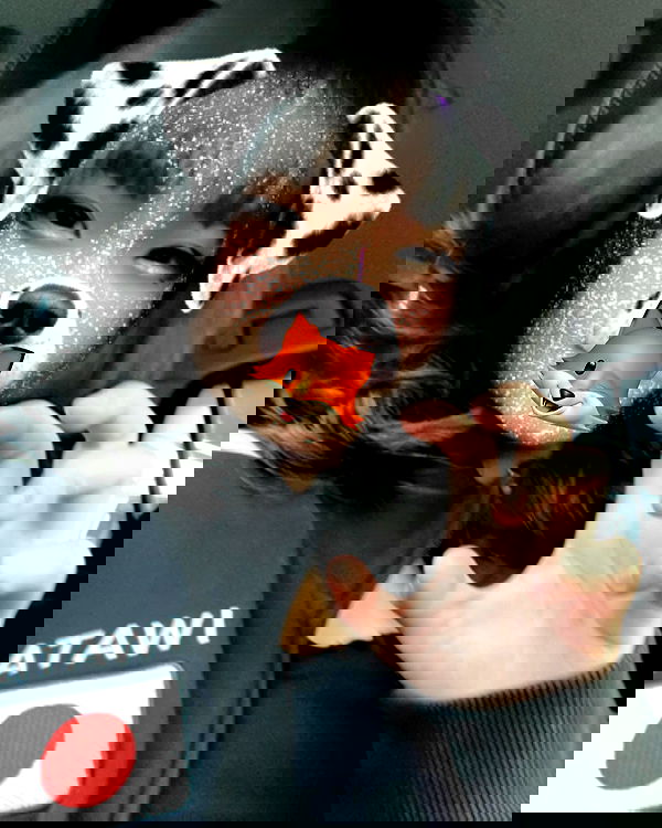 kitsunee2nd kitsunee2nd archive image