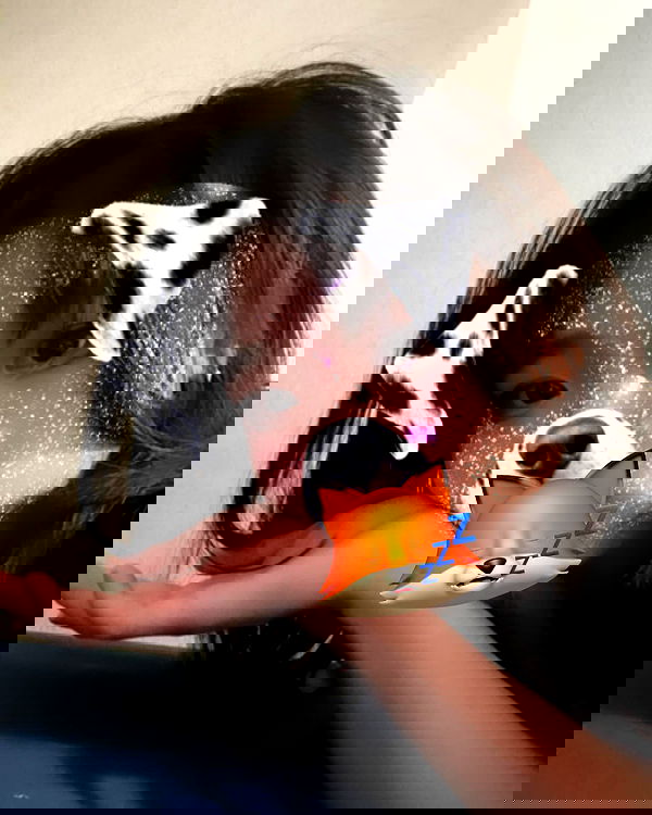 kitsunee2nd kitsunee2nd archive image