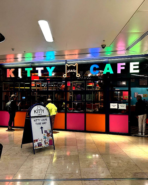 kittymerritt instagram image archive image