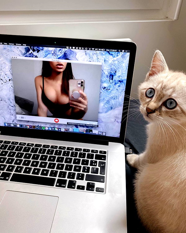 kittynacre instagram image archive image