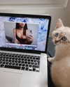 kittynacre Altpins Profile Picture