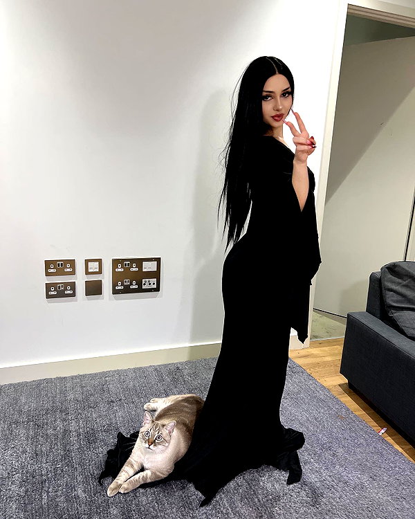 kittynacre instagram image archive image