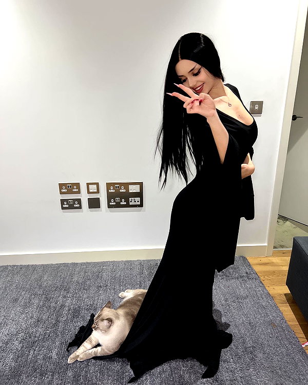 kittynacre instagram image archive image