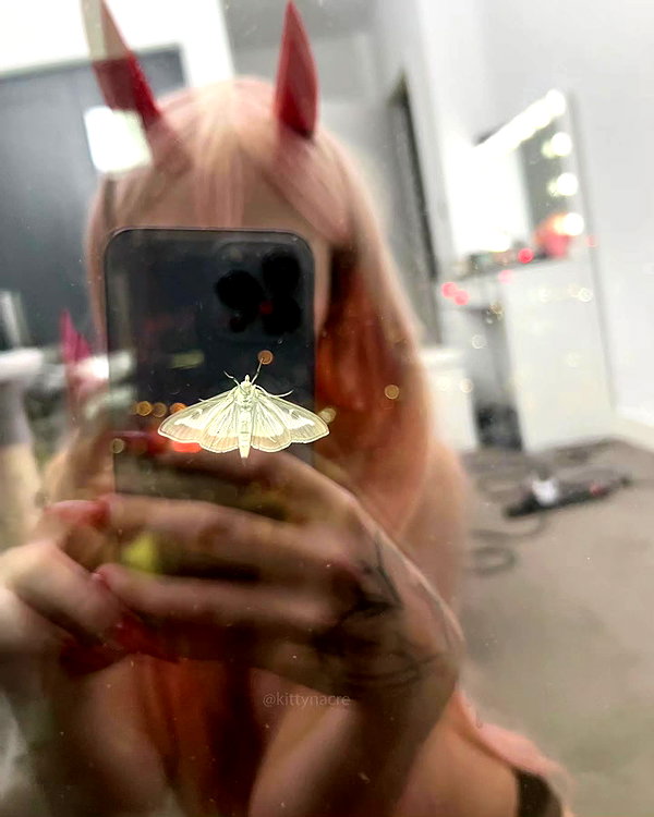 kittynacre instagram image archive image
