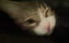 klarissasalazar Altpins Profile Picture