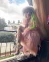 kriiizellda Altpins Profile Picture