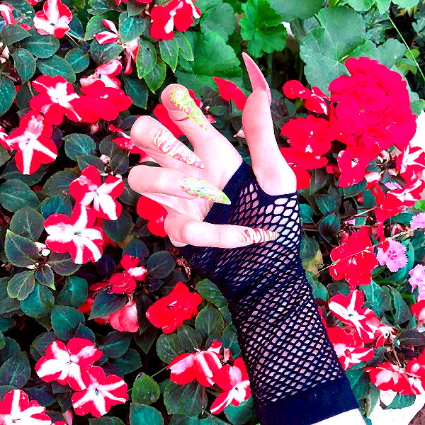 kriiizellda instagram image archive image