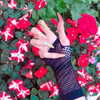 kriiizellda Altpins Profile Picture