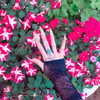 kriiizellda Altpins Profile Picture