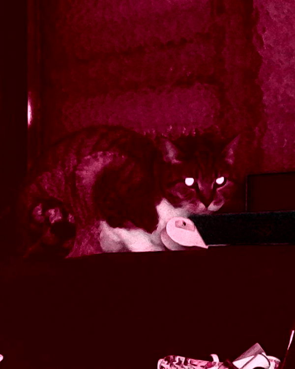 kriiizellda instagram image archive image