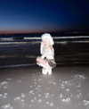 kriiizellda Altpins Profile Picture