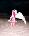 kriiizellda Altpins Profile Picture