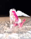kriiizellda Altpins Profile Picture