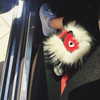 kyliejenner Altpins Profile Picture
