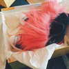 kyliejenner Altpins Profile Picture