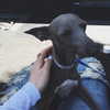 kyliejenner Altpins Profile Picture