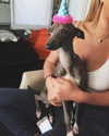 kyliejenner Altpins Profile Picture