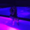 kyliejenner Altpins Profile Picture