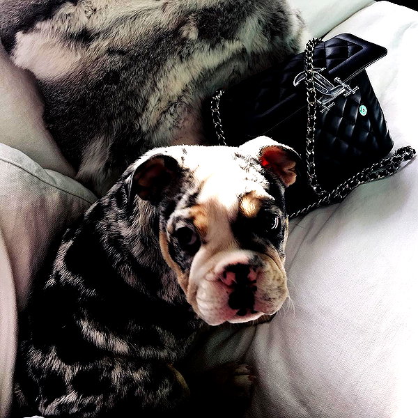 kyliejenner instagram image archive image