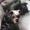 kyliejenner Altpins Profile Picture