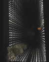 kyliejenner Altpins Profile Picture