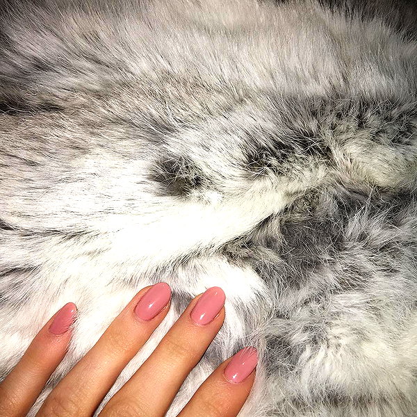 kyliejenner instagram image archive image