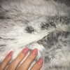 kyliejenner Altpins Profile Picture