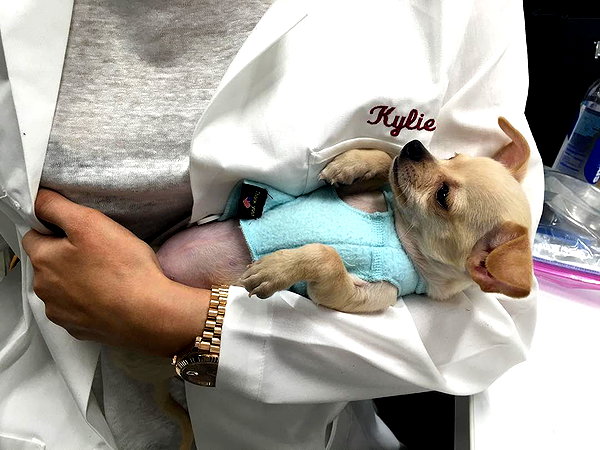 kyliejenner instagram image archive image