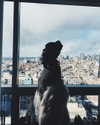kyliejenner Altpins Profile Picture