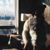 kyliejenner Altpins Profile Picture
