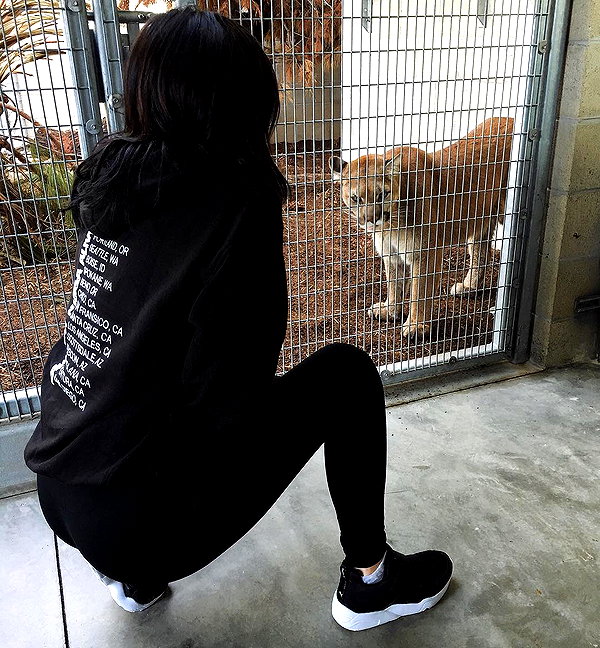 kyliejenner instagram image archive image
