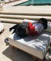 kyliejenner Altpins Profile Picture