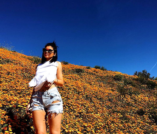 kyliejenner instagram image archive image