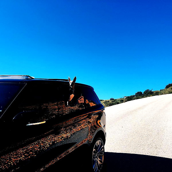 kyliejenner instagram image archive image