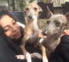 kyliejenner Altpins Profile Picture