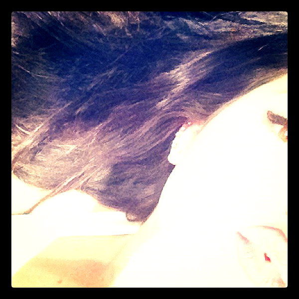 kyliejenner instagram image archive image