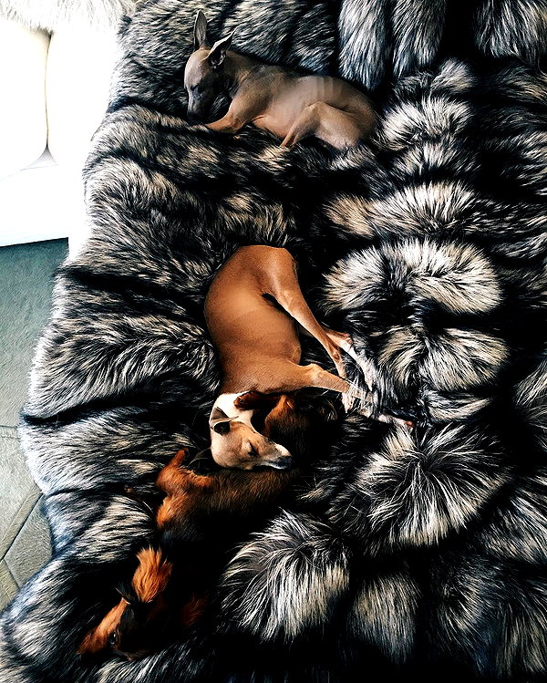 kyliejenner instagram image archive image