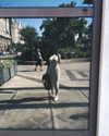 kyliejenner Altpins Profile Picture